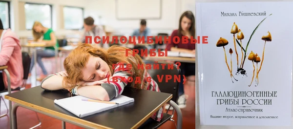 прущая мука Алзамай