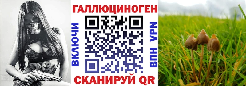 Галлюциногенные грибы прущие грибы  кракен ТОР  Буй 