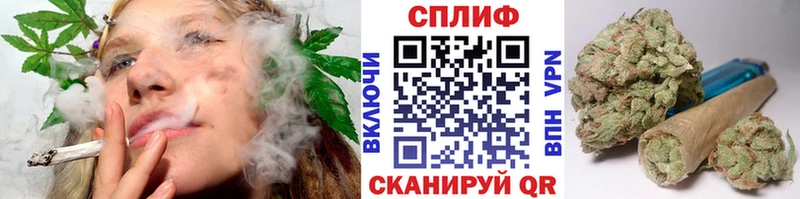дарнет шоп Буй МАРИХУАНА индика